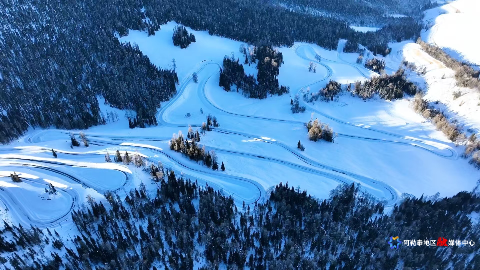 mmexport1737951773462